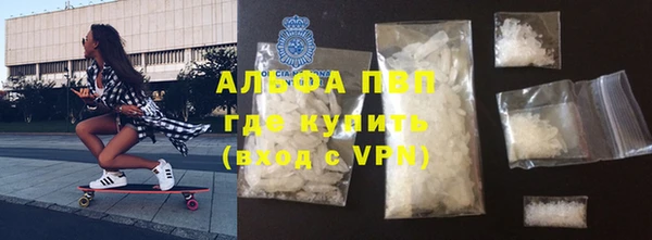хмурый Магас