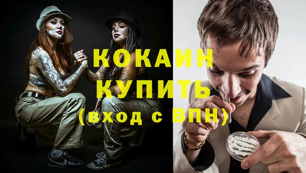 хмурый Магас