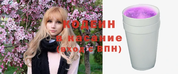 хмурый Магас